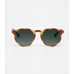 GAFAS DE SOL NANTE RUBBER HAVANA TIWI