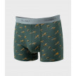 BOXER ALGODON BIO GREEN WILD BILLY BELT