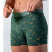 BOXER ALGODON BIO GREEN WILD BILLY BELT